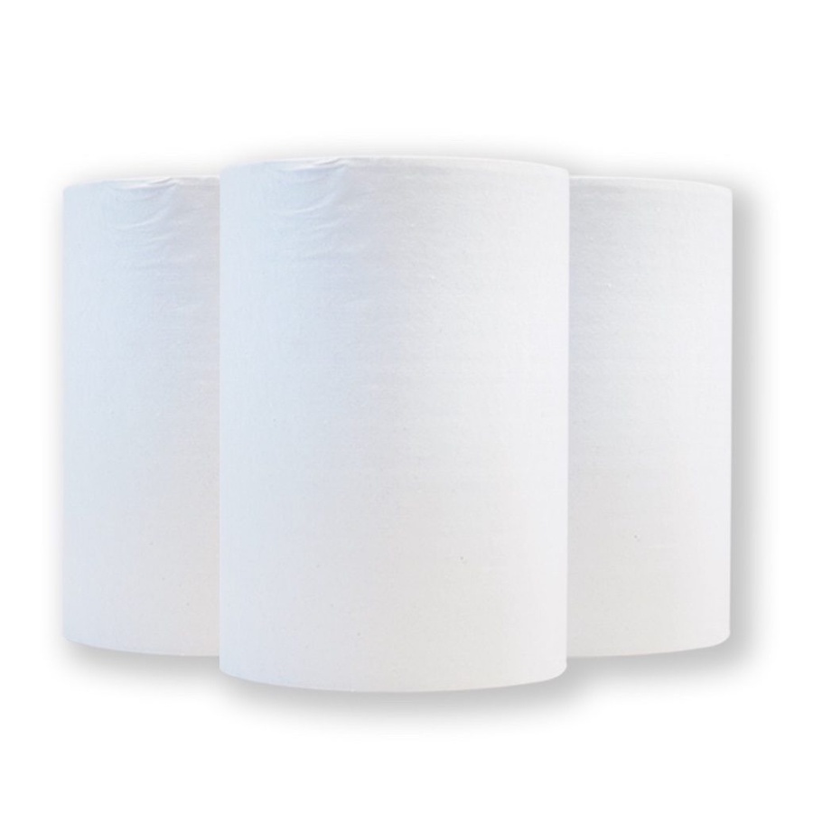 Paper Towel Roll - Autoroll 2ply 100m Hyg 1/6